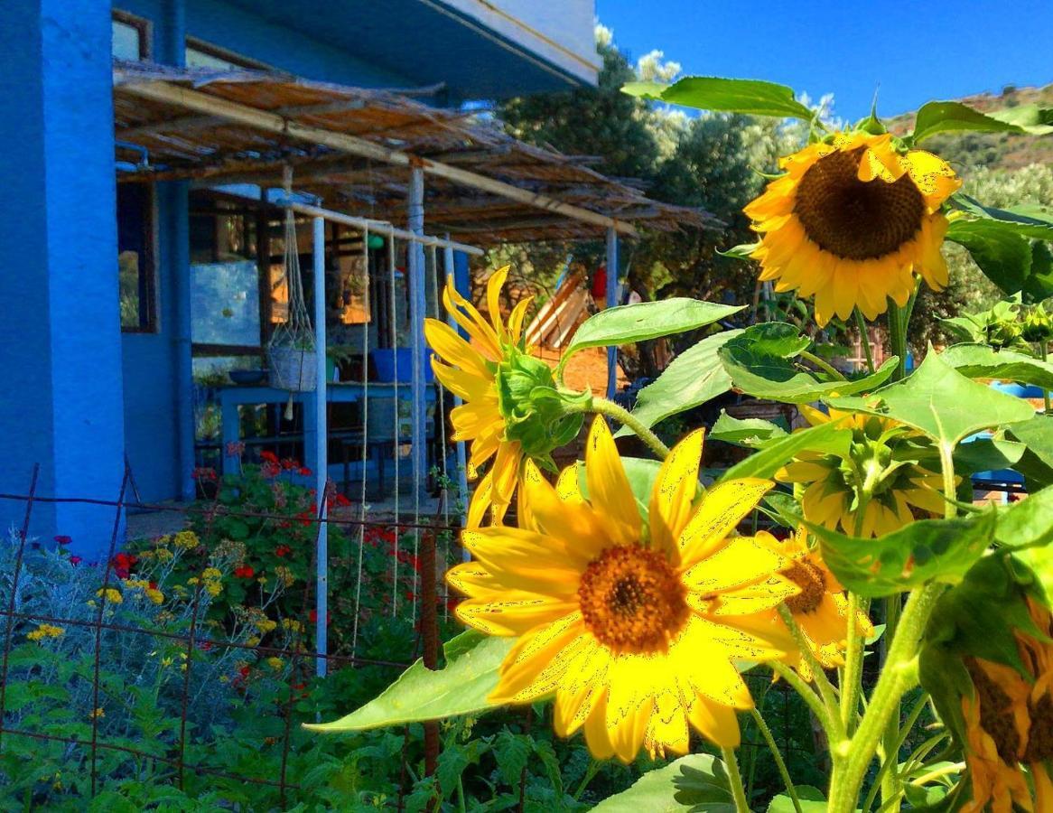 Saveriako, Paradise For Relaxed Free Spirits Villa Agia Pelagia  Exterior foto