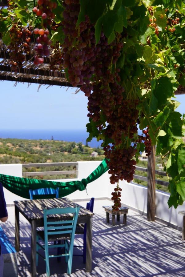 Saveriako, Paradise For Relaxed Free Spirits Villa Agia Pelagia  Exterior foto