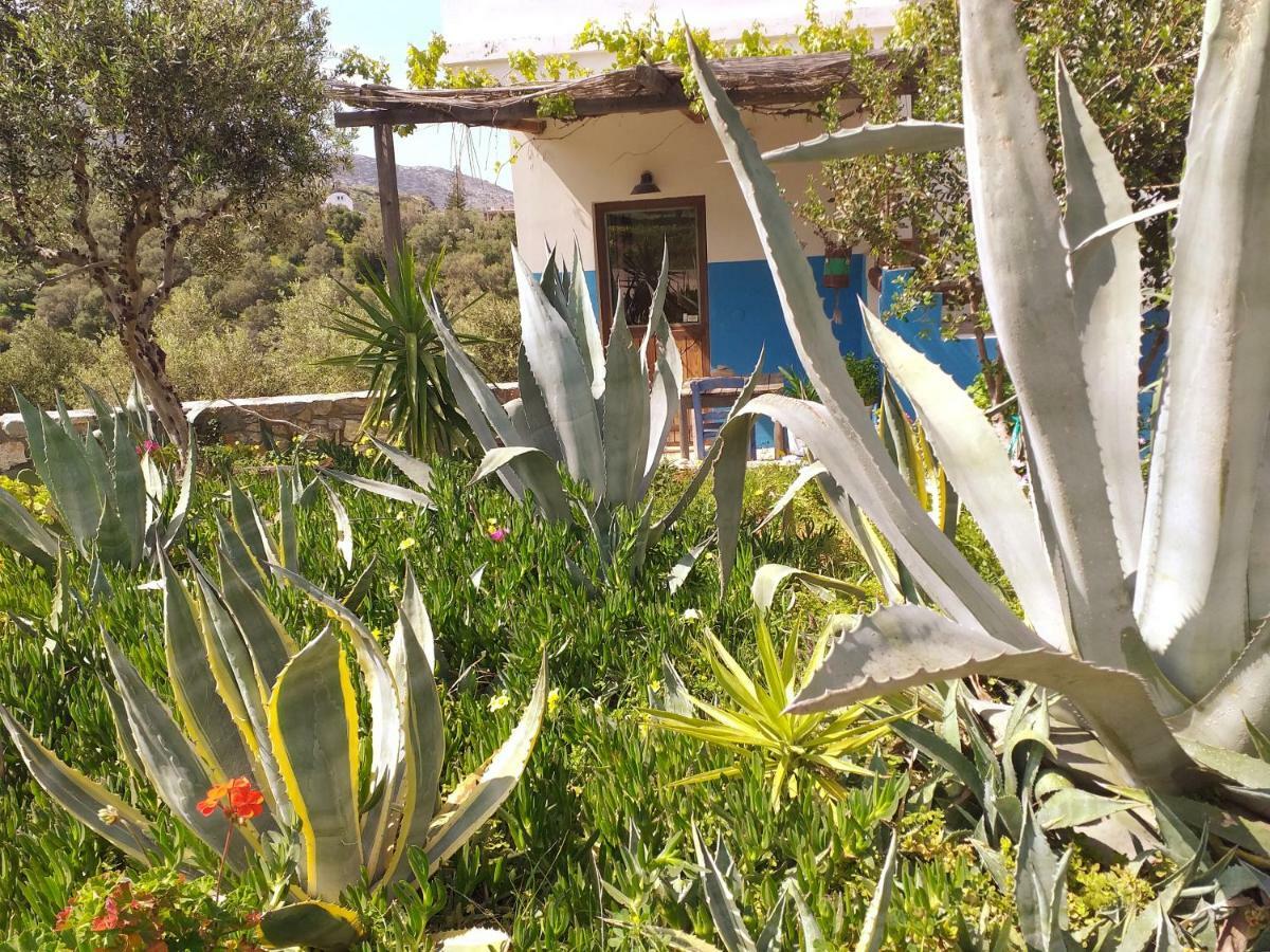 Saveriako, Paradise For Relaxed Free Spirits Villa Agia Pelagia  Exterior foto